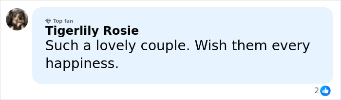 Comment praising Zendaya and Tom Holland as a lovely couple, wishing them happiness, with two likes.