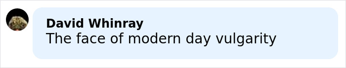 Comment on social media by David Whinray criticizing modern day vulgarity, related to Bonnie Blue criminal stunt in London.