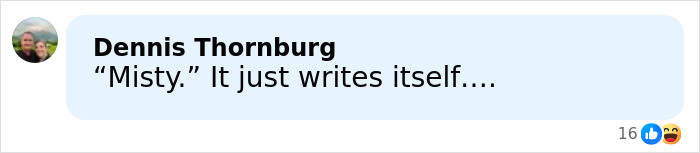 Comment by Dennis Thornburg discussing a quote about Misty in a social media thread.
