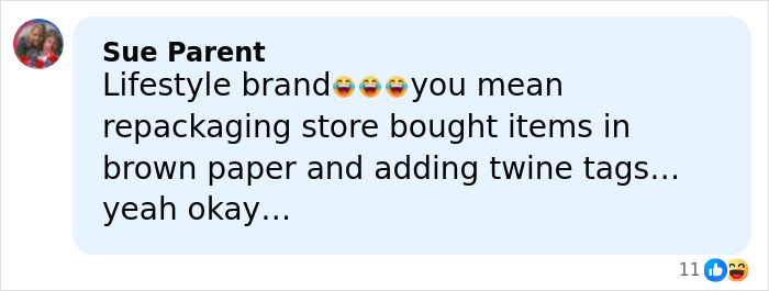 Comment by Sue Parent criticizing a lifestyle brand, displayed on a social media platform with reactions shown.