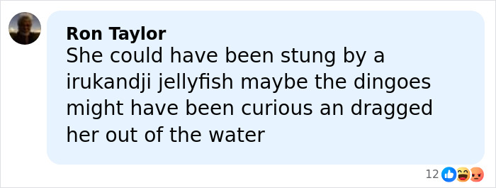 Comment by Ron Taylor suggesting a jellyfish sting and dingoes dragging a backpacker from water, cause of passing discussed.