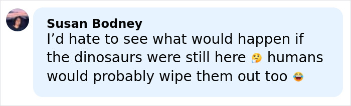 Comment by Susan Bodney discussing dinosaurs and humans in a social media post with emojis expressing concern and humor.