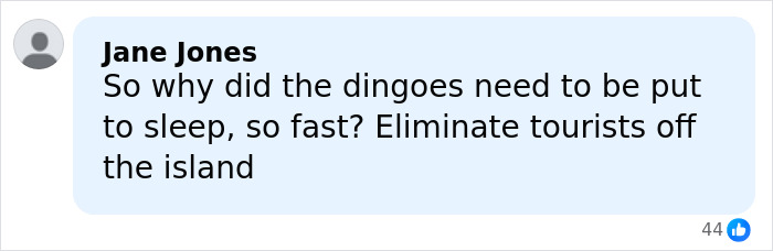 Comment discussing the controversy about dingoes being put down after a backpacker's body was found surrounded by them.