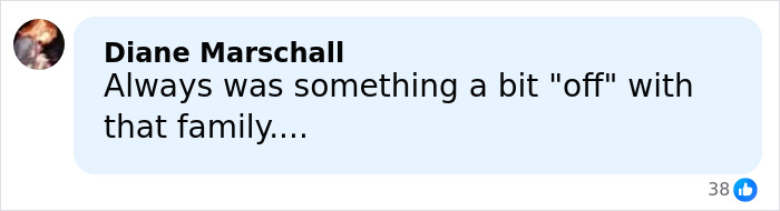 Comment by Diane Marschall expressing suspicion about the Duggar family amid 19 Kids And Counting star Joseph Garrett Duggar allegations.