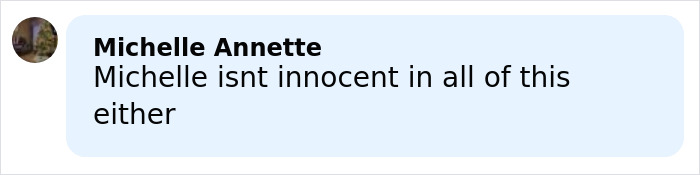 Screenshot of a social media comment discussing Michelle Annette related to 19 Kids And Counting star Joseph Duggar arrest news.
