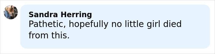 Comment from Sandra Herring expressing concern about potential harm related to hidden items found in Barbie packaging.