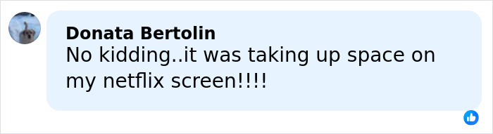 Person commenting on Netflix screen space issue, expressing frustration with Netflix content visibility on a social media platform.