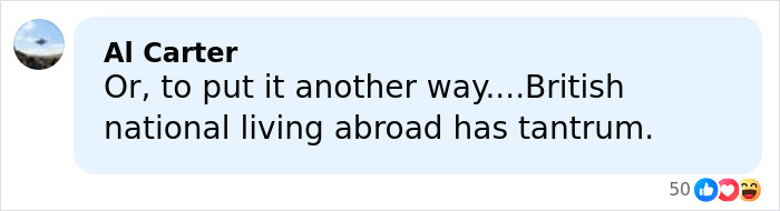 Comment on social media about British national living abroad reacting to bombshell claims linked to Harry and Meghan statement.