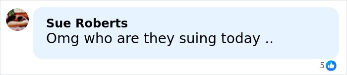 Comment from Sue Roberts expressing curiosity about who Harry and Meghan are suing today, related to bombshell claims.