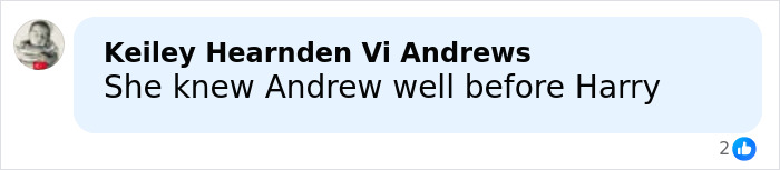 Comment reading She knew Andrew well before Harry, displayed in a social media style speech bubble with profile picture and reaction icons.