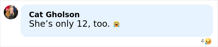 Screenshot of a social media comment reacting to mom arrested after making obscene gesture toward daughter at Universal Studios.