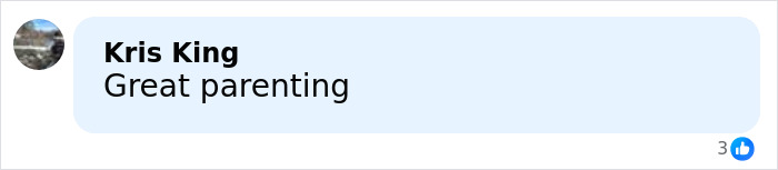 Comment on social media reading Great parenting related to mom arrested for making obscene gesture toward daughter at Universal Studios.