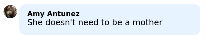 Comment by Amy Antunez criticizing a mom involved in an arrest over an obscene gesture and leaving her daughter at Universal Studios.