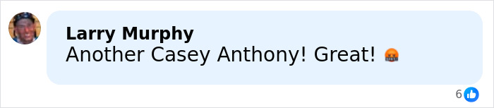 Comment by Larry Murphy expressing anger and comparing mom arrested for obscene gesture and leaving daughter at Universal Studios to another case.