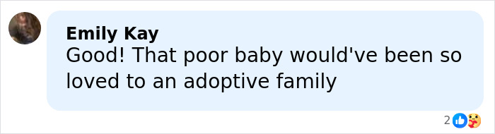 Comment by Emily Kay expressing sympathy about a poor baby who would have been loved by an adoptive family in a discussion on manslaughter charge.