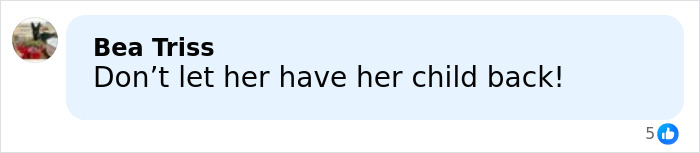 Facebook comment by Bea Triss saying don&rsquo;t let her have her child back about mom of 5 arrested for horrible crimes at festival.