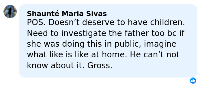 Comment criticizing mom of 5-year-old arrested for horrible crimes at public festival, questioning father's knowledge.