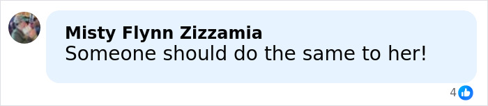 Facebook comment by Misty Flynn Zizzamia expressing agreement with the arrest of mom of 5-year-old at festival crowd incident.