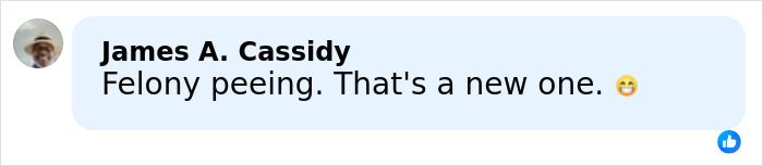Facebook comment by James A. Cassidy reacting to felony peeing charge with a smiling emoji on a light blue background. Facebook comment by James A. Cassidy reacting to felony peeing charge with a smiling emoji on a light blue background.