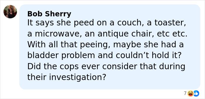 Comment by Bob Sherry questioning investigation into a Florida woman arrested for disturbing acts in Airbnbs. Comment by Bob Sherry questioning investigation into a Florida woman arrested for disturbing acts in Airbnbs.