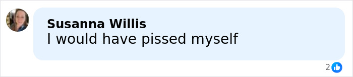 Comment from Susanna Willis expressing shock and fear in a social media post about Bryan Kohberger college homicides.