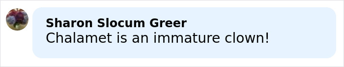 Comment by Sharon Slocum Greer calling Timoth&eacute;e Chalamet an immature clown amid ballet and opera remarks controversy.
