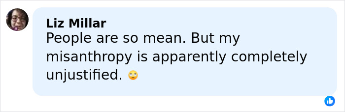Comment from Liz Millar expressing feelings about misanthropy and kindness on social media platform.