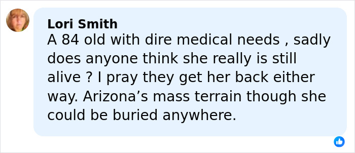 Comment from Lori Smith discussing an 84-year-old with medical needs amid the long-standing mystery of gloves in Nancy Guthrie case.