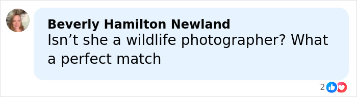 Comment mentioning a wildlife photographer as a perfect match, related to Robert Irwin's rumored new girlfriend reactions.