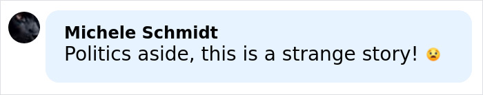 User comment by Michele Schmidt expressing surprise about a strange story related to an arrest warrant issued for former Kentucky governor