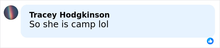 Screenshot of a social media comment mentioning Anna Camp, related to discussions on her sexuality and age-gap romance.