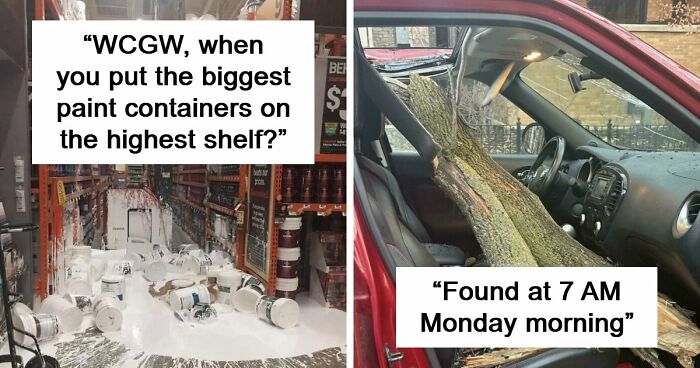 “Do I Cry Or Laugh?”: If You Think Your Day Is Bad, These 79 People Would Like A Word (New Pics)