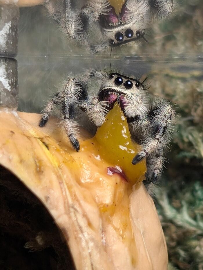 If You’re Looking For Something To Blow Your Mind Today, These 61 Scientific Facts Might Just Do It