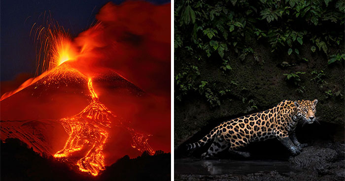 Here Are 18 Of The Most Powerful Photos From This Year’s HIPA Photography Awards