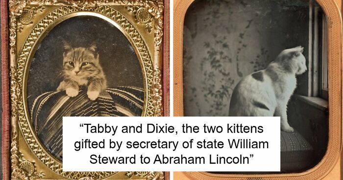 81 Victorian Era Photos That Might Change How You See The Period (New Pics)