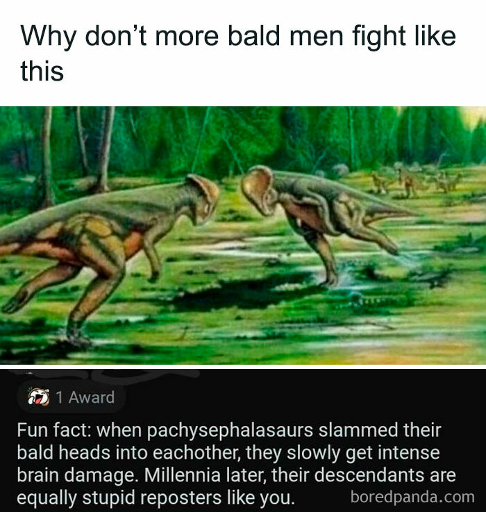 Pachysephalasaurs Is A Big Word