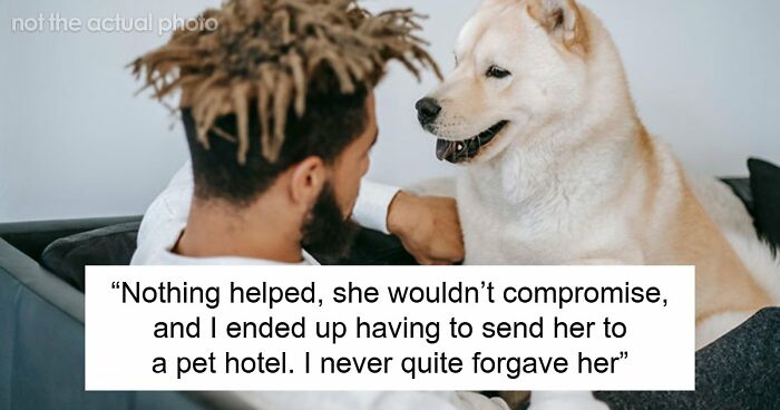 Woman Refuses To Dogsit Her Brother’s Elderly Dog, Gets Shocked When He Declines To Babysit Her Kids