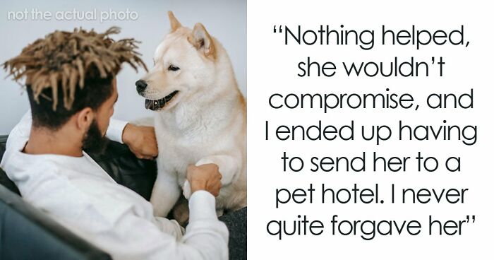 Woman Refuses To Dogsit Her Brother’s Elderly Dog, Gets Shocked When He Declines To Babysit Her Kids