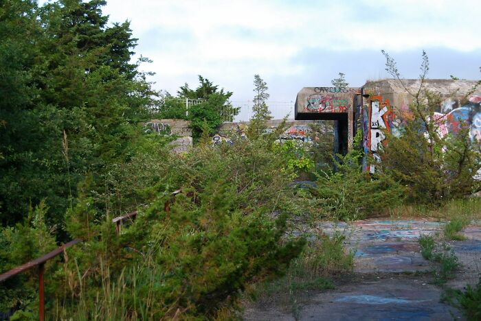 Overgrown urban ruins with graffiti-covered concrete structures, capturing a chilling urban explorer atmosphere.