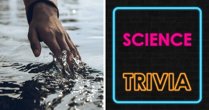 From Planets To Baking Bread: 34 Science Questions That Challenge Your Knowledge