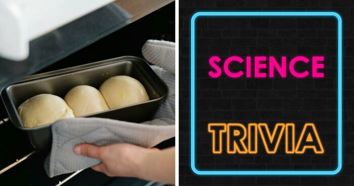 From Planets To Baking Bread: 34 Science Questions That Challenge Your Knowledge