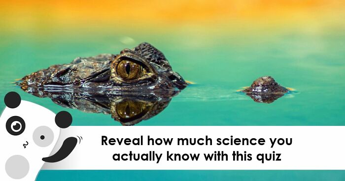 From Planets To Baking Bread: 34 Science Questions That Challenge Your Knowledge