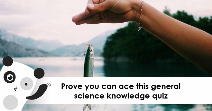 From Planets To Baking Bread: 34 Science Questions That Challenge Your Knowledge