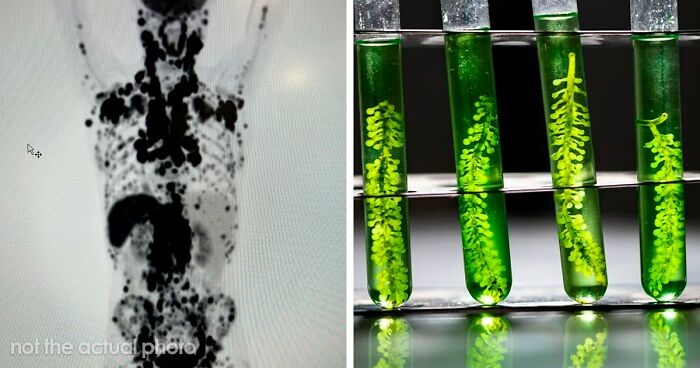 If You’re Looking For Something To Blow Your Mind Today, These 61 Scientific Facts Might Just Do It