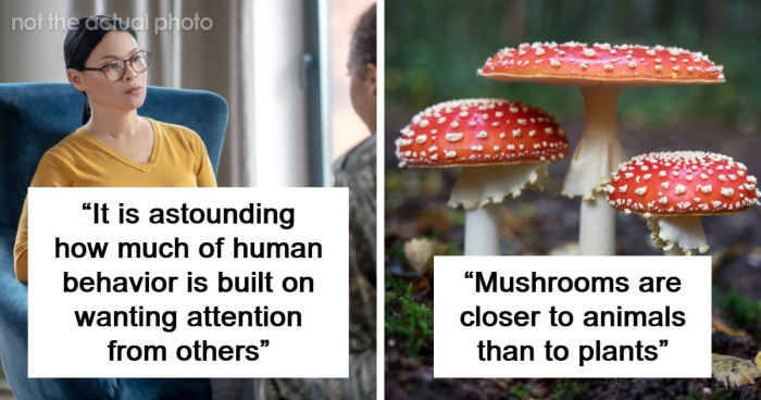 If You’re Looking For Something To Blow Your Mind Today, These 61 Scientific Facts Might Just Do It