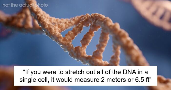 If You’re Looking For Something To Blow Your Mind Today, These 61 Scientific Facts Might Just Do It