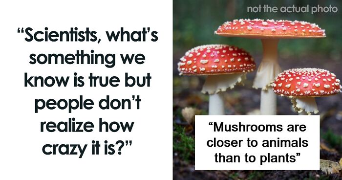 If You’re Looking For Something To Blow Your Mind Today, These 61 Scientific Facts Might Just Do It