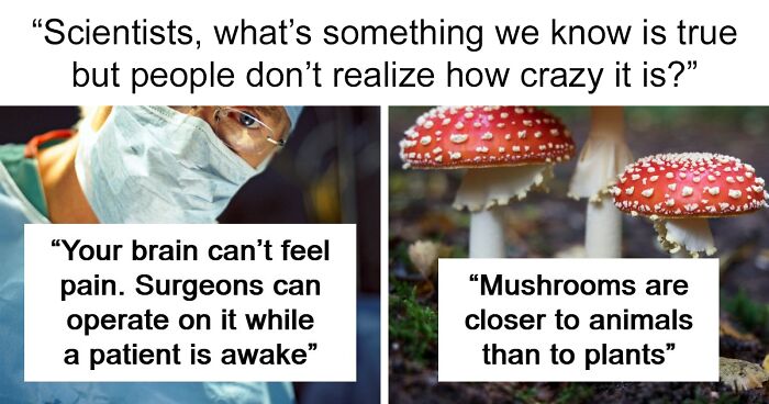 If You’re Looking For Something To Blow Your Mind Today, These 61 Scientific Facts Might Just Do It