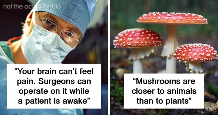 If You’re Looking For Something To Blow Your Mind Today, These 61 Scientific Facts Might Just Do It