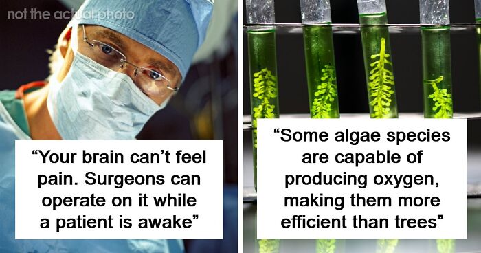 If You’re Looking For Something To Blow Your Mind Today, These 61 Scientific Facts Might Just Do It